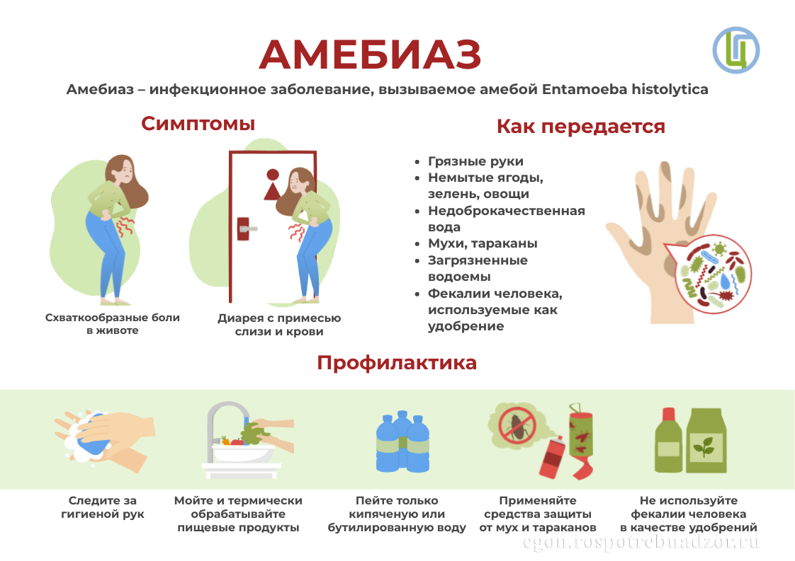 Амебиаз: что это за болезнь и как ее предотвратить. 