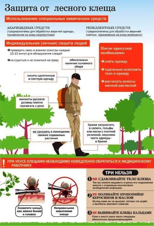 Защита от лесного клеща, информация на 22.07.2019.jpg