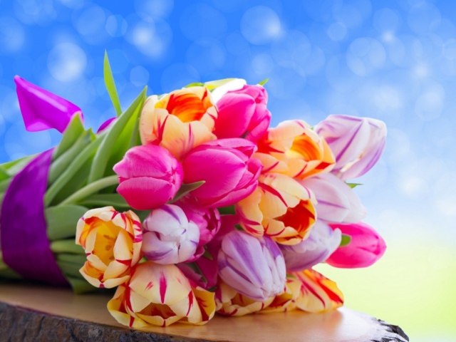 Nature___Flowers___Bouquet_of_tulips_042489_29.jpg