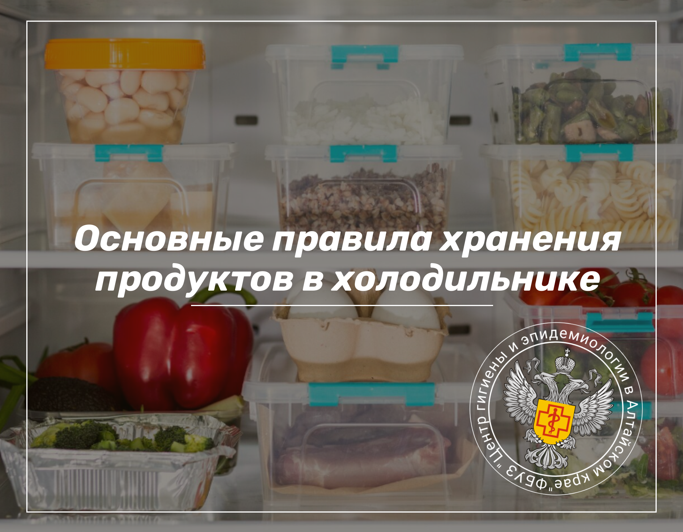 Основные правила хранения продуктов в холодильнике
