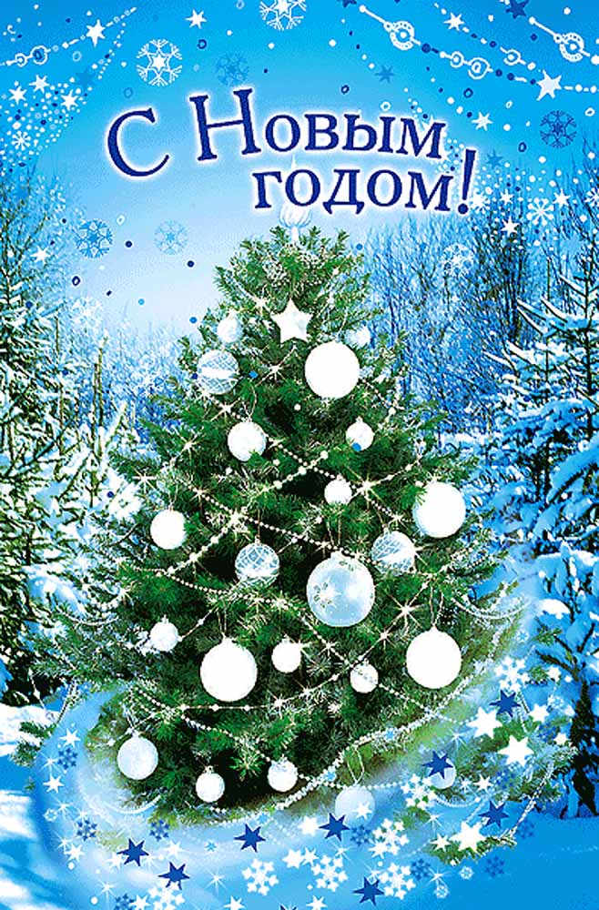 Поздравление главного врача ФБУЗ Центр гигиены и эпидемиологии в Алтайском  крае с Новым Годом и Рождеством!