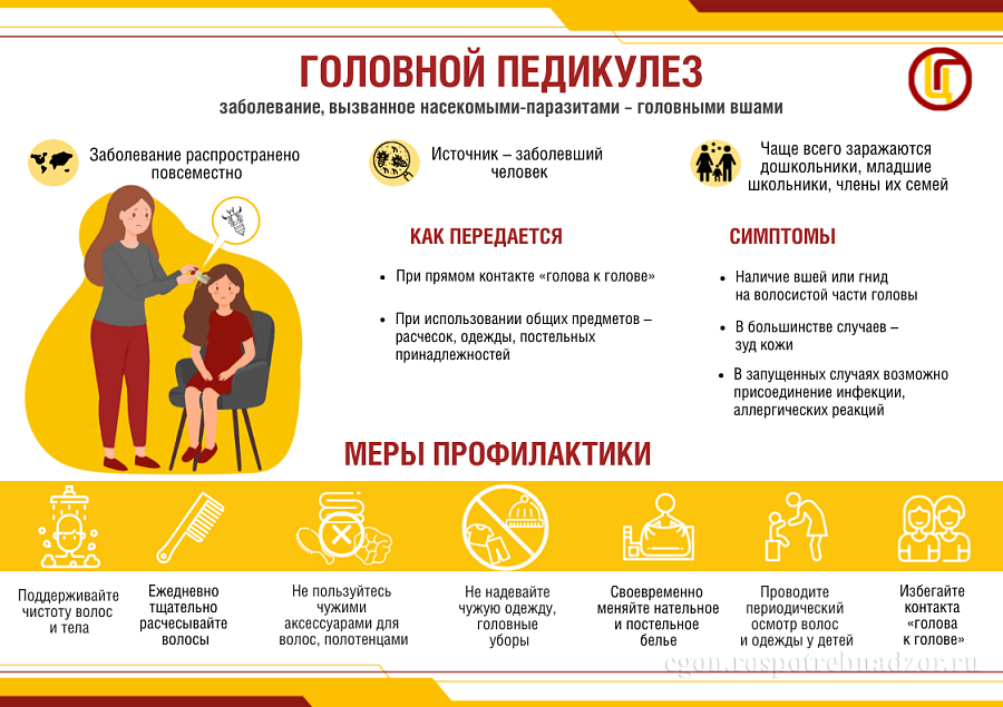 Родителям о профилактике педикулеза